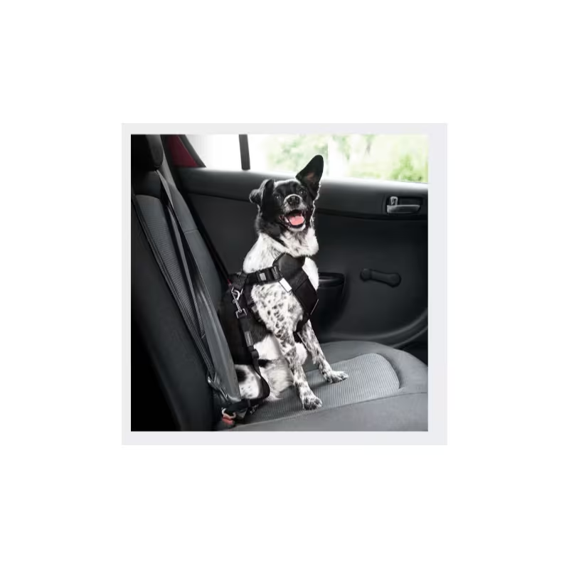 Dog Car Seat Belt 2-Pack – Adjustable Pet Safety Harness Strap for Travel