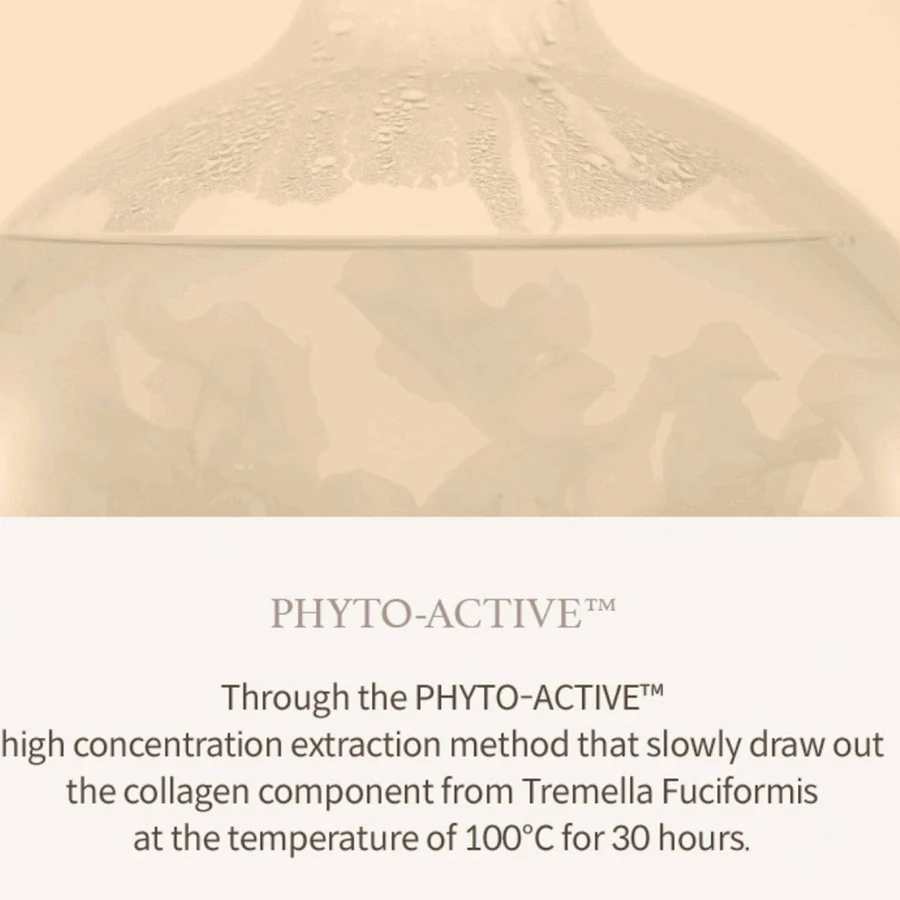 Mushroom Collagen Ampoule 30ml Hydrating Firming Facial Serum for Smooth Skin