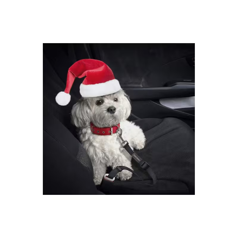Dog Car Seat Belt 2-Pack – Adjustable Pet Safety Harness Strap for Travel