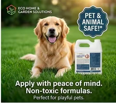 Eco Home & Garden Liquid Lawn Fertilizer 10-2-4 – Concentrated Nitrogen Liquid Food with Chelated Iron, Sulfur & Micronutrients – Pet & Animal Safe, Treats over 6,000 Sq. Ft. (1 Quart / 1 Liter)