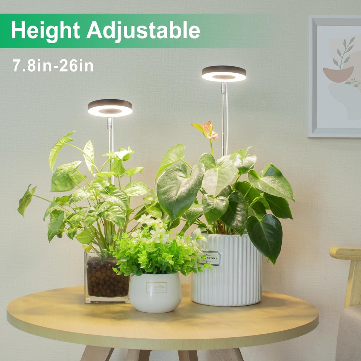 Lordem Adjustable LED Grow Light for Indoor Plants, 3 Colour Modes & Timer – Single or 2-Pack