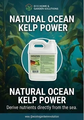 Eco Garden Solutions Liquid Seaweed Fertilizer NPK 1-1-1, 100% Organic Kelp Extract Plant Food & Soil Enhancer for Indoor Houseplants, Outdoor Gardens, Lawns & Hydroponics, 1 Liter (1 Quart)
