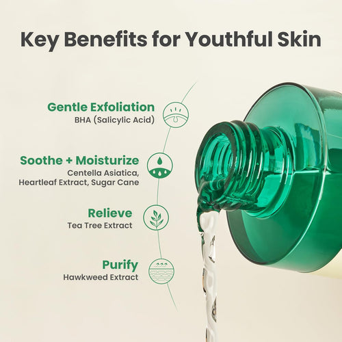 AXIS-Y Daily Purifying Treatment Toner with 0.5% BHA, Centella Asiatica & Heartleaf  Gentle Exfoliating & Soothing Toner for Smooth Texture  Vegan & Cruelty-Free Korean Skin Care  200ml