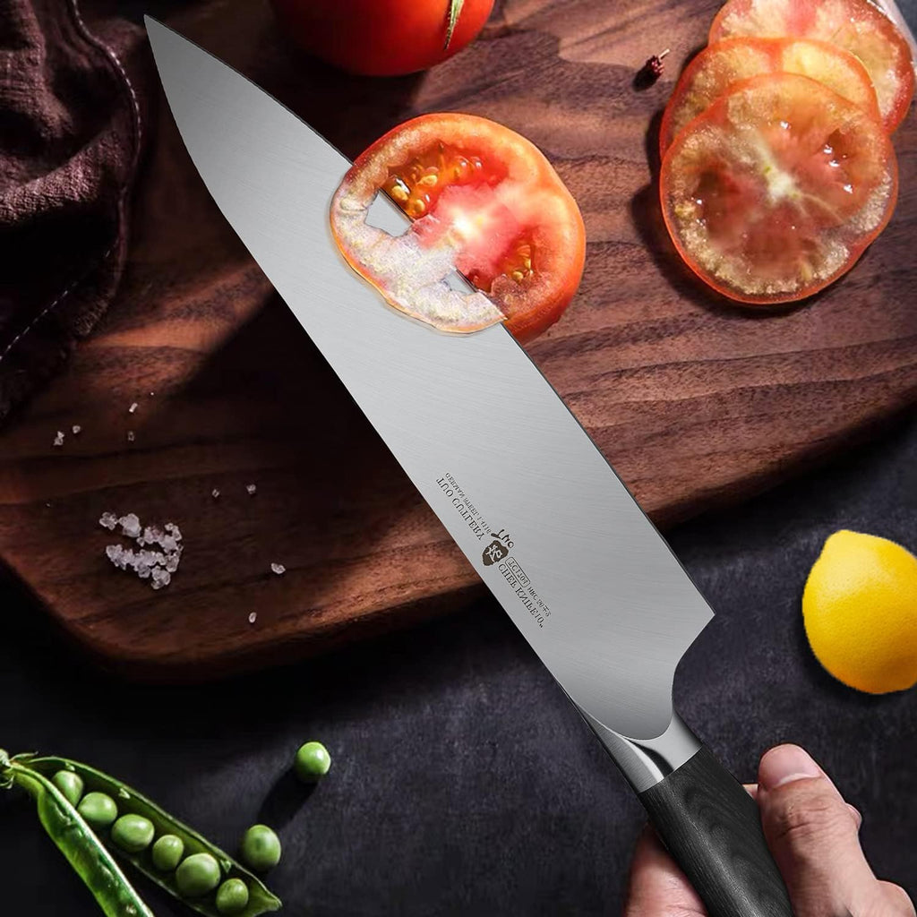 TUO 10 inch Chef Knife, Professional Kitchen Gyuto Knife, German HC Stainless Steel, Premium Pakkawood Handle, Full Tang, Gift Box Packaging, Goshawk Series