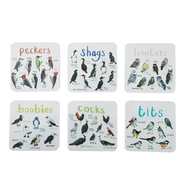 Funny Bird Pun Coasters Set of 6, Acrylic Drink Coasters for Table Protection, Cute Cartoon Bird Design Coaster Set for Coffee, Tea, Home & Kitchen Decor