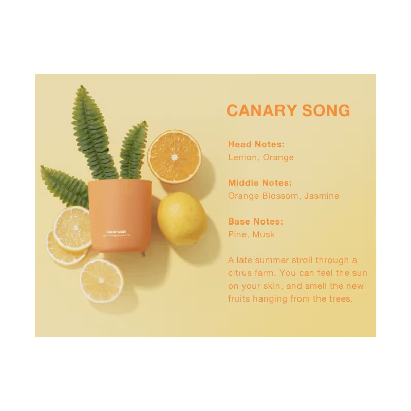 SCENTED CANDLE 7oz 200g Hand Poured with 100% Plant-based Wax 45 Hours Burn Time