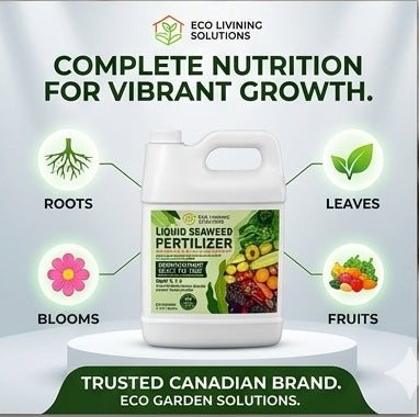Eco Garden Solutions Liquid Seaweed Fertilizer NPK 1-1-1, 100% Organic Kelp Extract Plant Food & Soil Enhancer for Indoor Houseplants, Outdoor Gardens, Lawns & Hydroponics, 1 Liter (1 Quart)