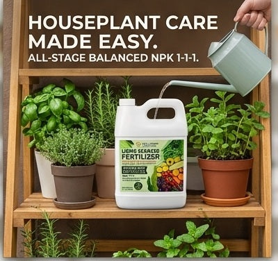 Eco Garden Solutions Liquid Seaweed Fertilizer NPK 1-1-1, 100% Organic Kelp Extract Plant Food & Soil Enhancer for Indoor Houseplants, Outdoor Gardens, Lawns & Hydroponics, 1 Liter (1 Quart)
