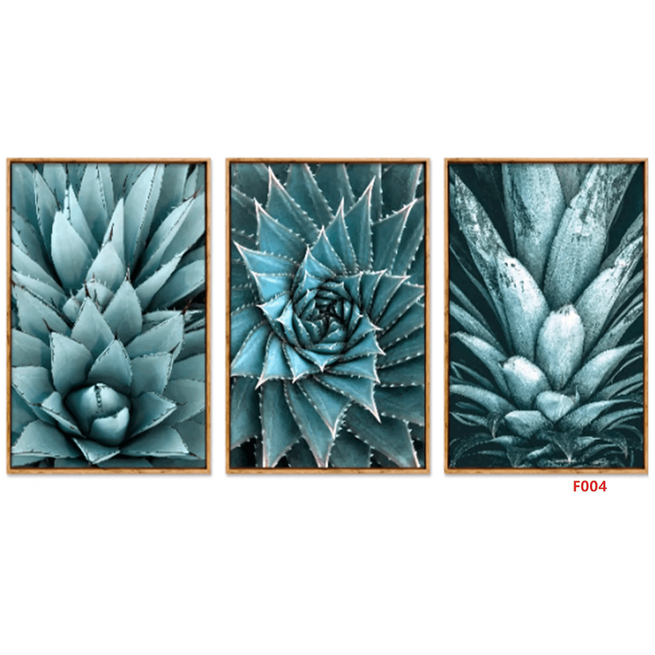 F004 3-Piece Blue Succulent Botanical Wall Art Set, 60 x 40 cm Each