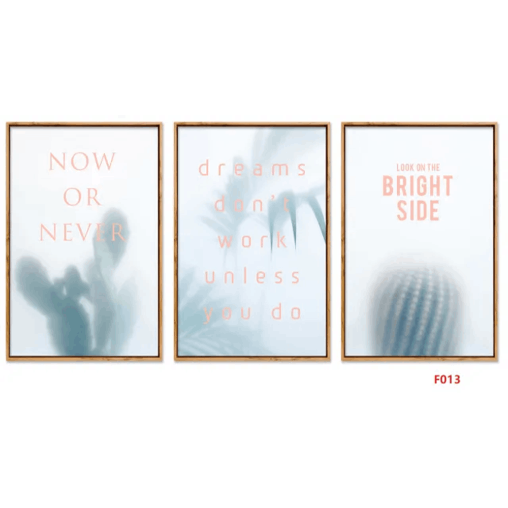 F013 3-Piece Minimalist Cactus Quote Wall Art Set, 60 x 40 cm Each
