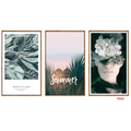 F020 3-Piece Tropical Botanical Wall Art Set, 60 x 40 cm Each