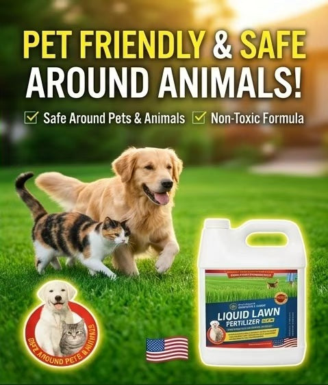 Eco Home & Garden Liquid Lawn Fertilizer 10-2-4 – Concentrated Nitrogen Liquid Food with Chelated Iron, Sulfur & Micronutrients – Pet & Animal Safe, Treats over 6,000 Sq. Ft. (1 Quart / 1 Liter)