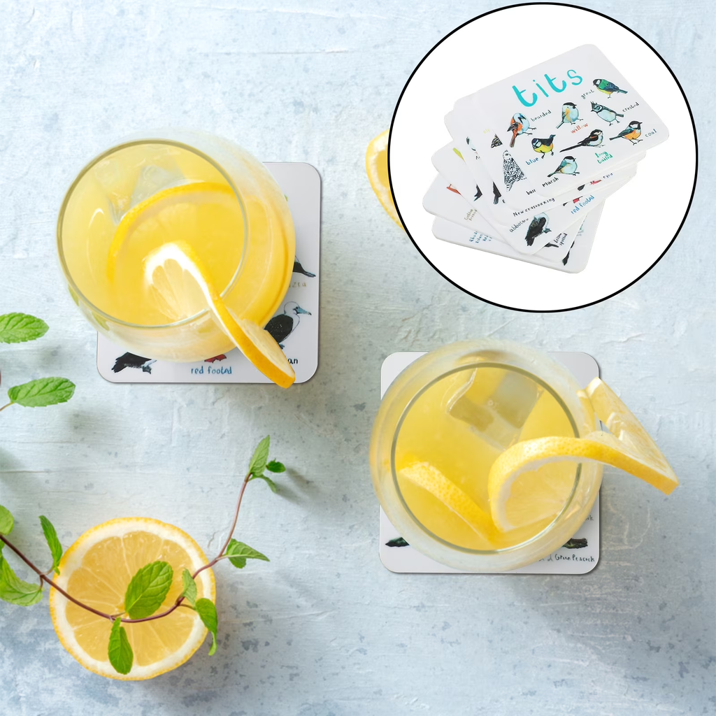 Funny Bird Pun Coasters Set of 6, Acrylic Drink Coasters for Table Protection, Cute Cartoon Bird Design Coaster Set for Coffee, Tea, Home & Kitchen Decor