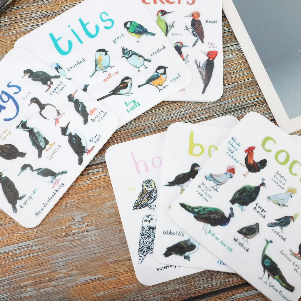 Funny Bird Pun Coasters Set of 6, Acrylic Drink Coasters for Table Protection, Cute Cartoon Bird Design Coaster Set for Coffee, Tea, Home & Kitchen Decor