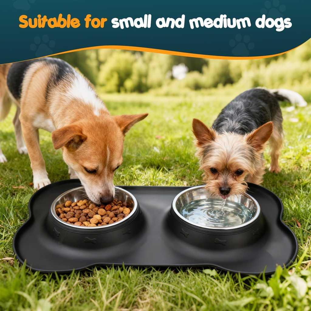 Double Dog Bowl Set with Silicone Mat – Stainless Steel Pet Food and Water Bowls for Small Dogs