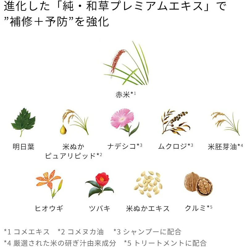 ICHIKAMI Moisturizing Shampoo & Conditioner Set – Japanese Botanical Hair Care by Kracie (480ml x2)