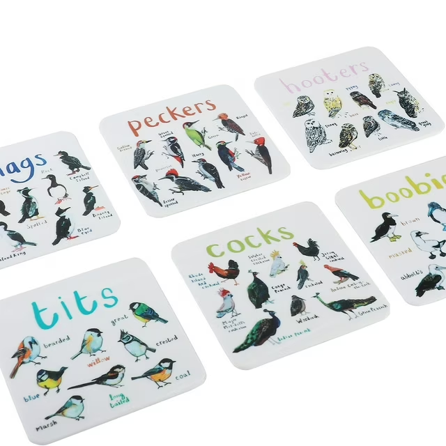Funny Bird Pun Coasters Set of 6, Acrylic Drink Coasters for Table Protection, Cute Cartoon Bird Design Coaster Set for Coffee, Tea, Home & Kitchen Decor