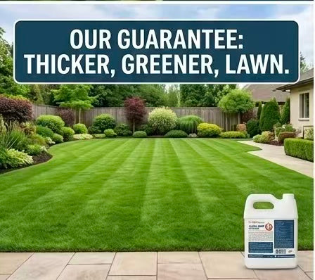 Eco Home & Garden Liquid Lawn Fertilizer 10-2-4 – Concentrated Nitrogen Liquid Food with Chelated Iron, Sulfur & Micronutrients – Pet & Animal Safe, Treats over 6,000 Sq. Ft. (1 Quart / 1 Liter)