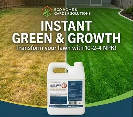 Eco Home & Garden Liquid Lawn Fertilizer 10-2-4 – Concentrated Nitrogen Liquid Food with Chelated Iron, Sulfur & Micronutrients – Pet & Animal Safe, Treats over 6,000 Sq. Ft. (1 Quart / 1 Liter)